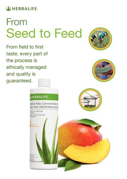 herbalife aloe vera mango drink Herbal Aloe Concentrate Mango Flavour - 31 Servings