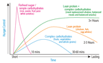 Graph comparing hunger control over time: refined sugars give short spikes, complex carbs last 30–60 minutes, lean protein lasts 2–3 hours, and lean protein with complex carbs, like shakes or balanced meals, sustain hunger control for 3+ hours